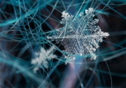 Красота снежинок под микроскопом — VilingStore